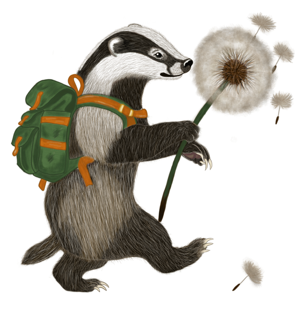 Illustration eines Dachses mit grünem Rucksack und Pusteblume, der als Symbol für das Vorschulkonzept der Kita Sausewind in der Industriestraße 6 in Dresden steht.